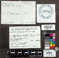 Image Associated With the Occurrence