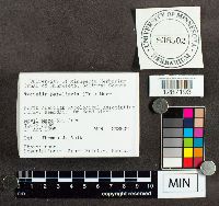 Image Associated With the Occurrence