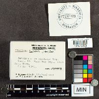 Media resource of Trametes cervina