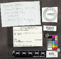 Image Associated With the Occurrence