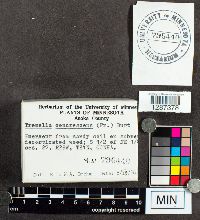 Image Associated With the Occurrence