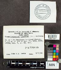 Image Associated With the Occurrence