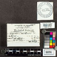 Image Associated With the Occurrence