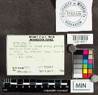 Image Associated With the Occurrence