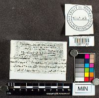 thumbnail image of current specimen