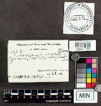 thumbnail image of current specimen
