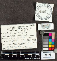 Image Associated With the Occurrence