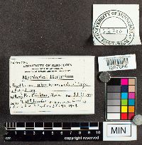 Media resource of Physarum utriculare