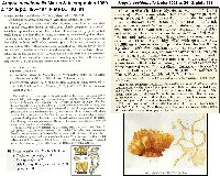 Arcyria occidentalis image