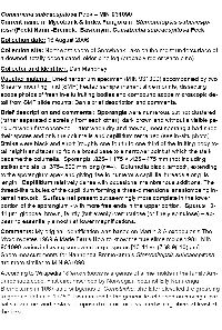 Stemonitopsis subcaespitosa image