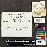 Media resource of Lycogala flavofuscum