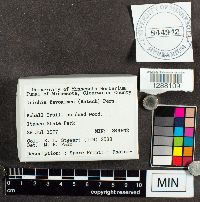 Image Associated With the Occurrence