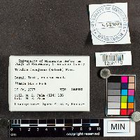 Image Associated With the Occurrence