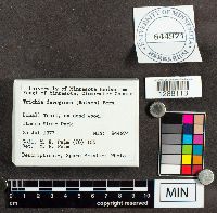 Image Associated With the Occurrence