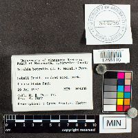 Image Associated With the Occurrence