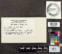 Image Associated With the Occurrence