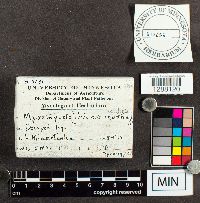 Image Associated With the Occurrence