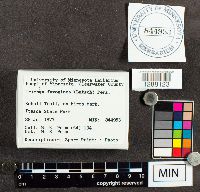 Image Associated With the Occurrence