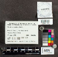 Image Associated With the Occurrence