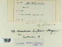 Image Associated With the Occurrence