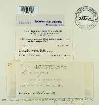 Image Associated With the Occurrence