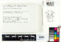 Image Associated With the Occurrence