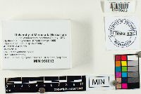 thumbnail image of current specimen