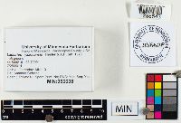 Thumbnail image of current specimen