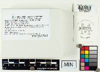 Thumbnail image of current specimen