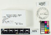 Thumbnail image of current specimen