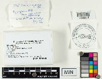 Image Associated With the Occurrence