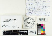 thumbnail image of current specimen