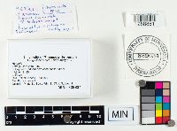 Image Associated With the Occurrence