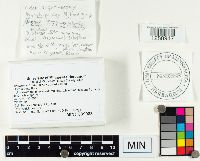 Image Associated With the Occurrence