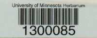 thumbnail image of current specimen