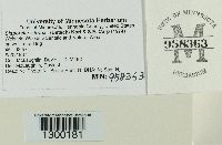 Image Associated With the Occurrence