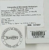 Image Associated With the Occurrence