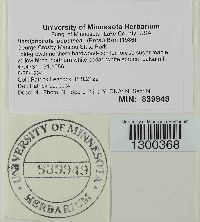 Image Associated With the Occurrence