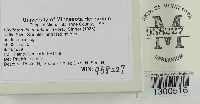thumbnail image of current specimen