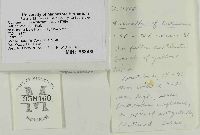 Tremella mesenterica image