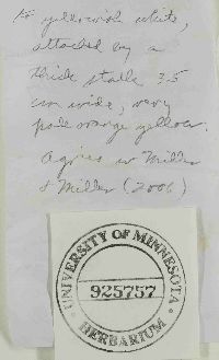 Image Associated With the Occurrence