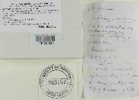 Media resource of Hericium americanum