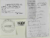 Baeospora myriadophylla image