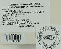 Image Associated With the Occurrence