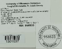 Image Associated With the Occurrence