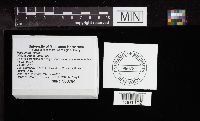 thumbnail image of current specimen