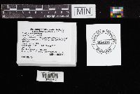 Media resource of Cortinarius huronensis