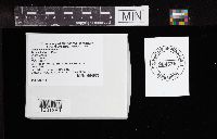 Simocybe centunculus image