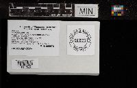 Image Associated With the Occurrence