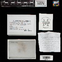 Media resource of Tremella fuciformis